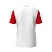 Pánske tričko Head  CLUB 25 TECH T-Shirt Men Red/White