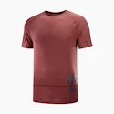 Pánske tričko Salomon Cross Run Graphic Tee Cabernet XL