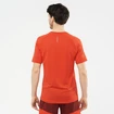 Pánske tričko Salomon Cross Run SS Tee Fiery Red