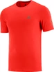 Pánske tričko Salomon  XA Trail Tee M Goji Berry