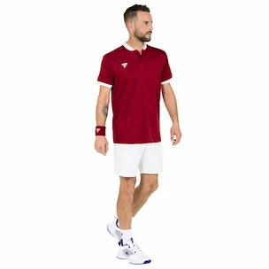 Pánske tričko Tecnifibre  Club Polo Cardinal