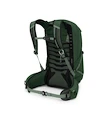 Pánsky batoh OSPREY TALON 22 green canopy/pine leaf