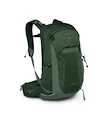 Pánsky batoh OSPREY TALON 22 green canopy/pine leaf