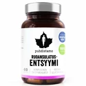 Puhdistamo  Digestive Enzymes (Trávicí enzymy) 60 kapslí