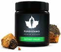 Puhdistamo  Instant Chaga Powder (Instantní houba Chaga) 28 g