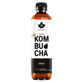 Puhdistamo Kombucha BIO 400 ml