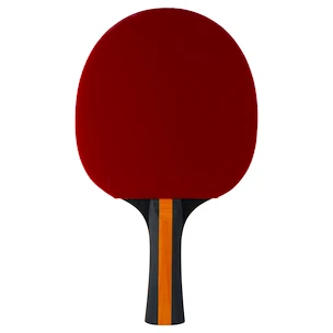 Raketa na stolný tenis Stiga  Vision