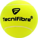 Tenisová lopta Tecnifibre  Giant Promo Ball