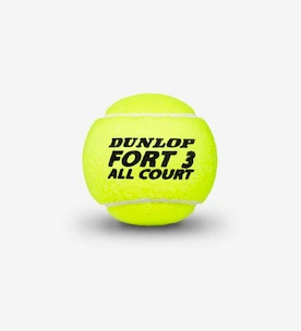 Tenisové loptičky Dunlop  Fort All Court TS