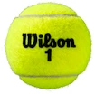 Tenisové loptičky Wilson  Roland Garros All Court (4 Pack)