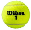 Tenisové loptičky Wilson  Roland Garros All Court (4 Pack)