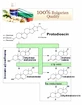 VemoHerb  Tribulus Terrestris MAXX 60 kapslí