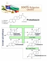 VemoHerb  Tribulus Terrestris MAXX 60 kapslí