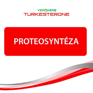 VemoHerb  Turkesterone 60 kapslí