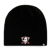 Zimná čiapka 47 Brand Beanie NHL Anaheim Ducks